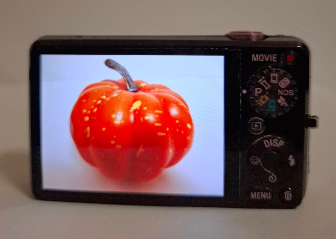ソニー SONY Cyber-Shot DSC-WX5 デジタルカメラ