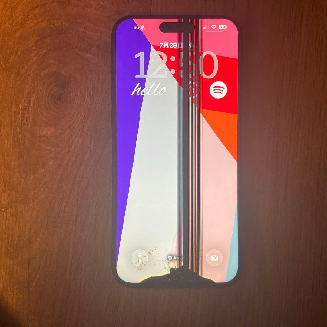 ハ*ヤ様 Apple iPhone15 Pro Max