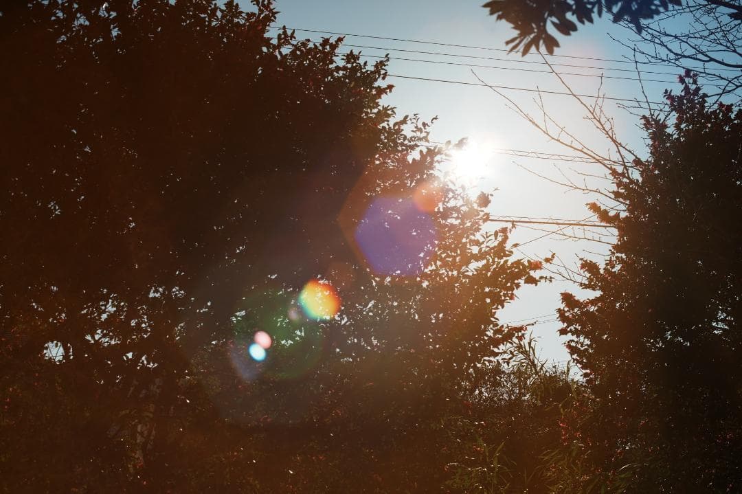 【希少8枚玉】動作◎ Super Takumar 50mm F1.4 113
