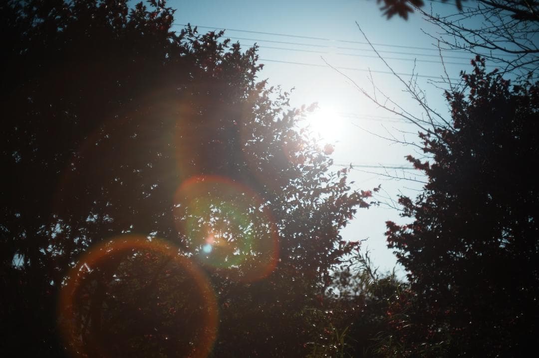 【希少8枚玉】動作◎ Super Takumar 50mm F1.4 113