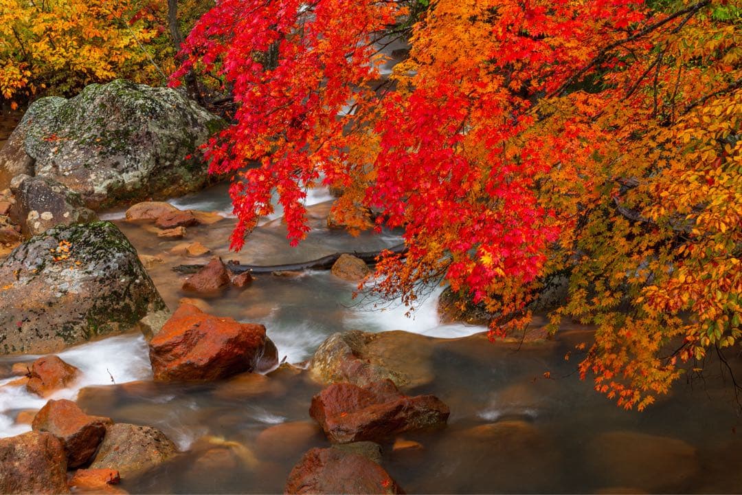 4/29までタムロン　EF　70-200mm f/2.8 　説明読んでください