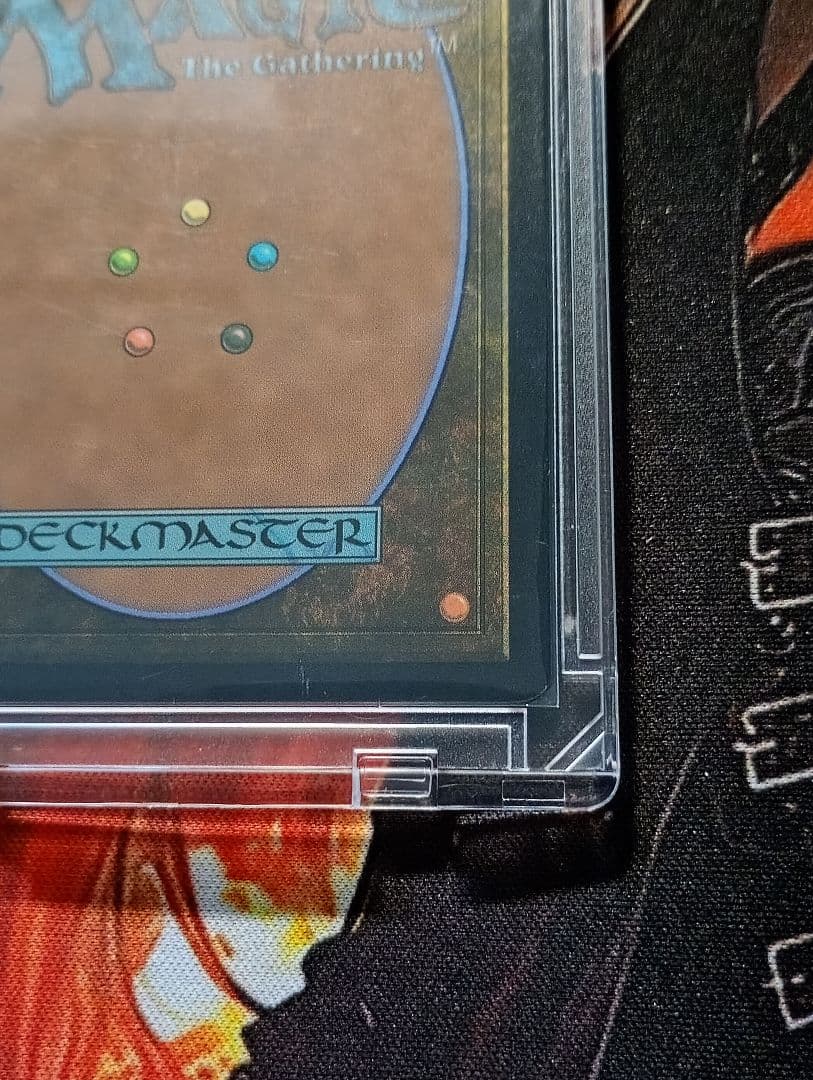 MTG 日本語版 甲羅を背負ったヒーロー ミュータントタートルズ サージ