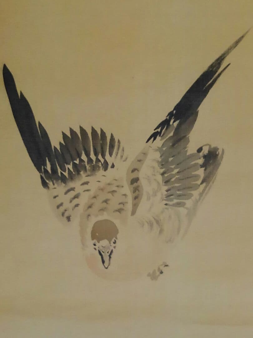 ♥掛軸　古画　関口 華亭　花鳥図　野田 幽谷 師事　茨城　掛け軸