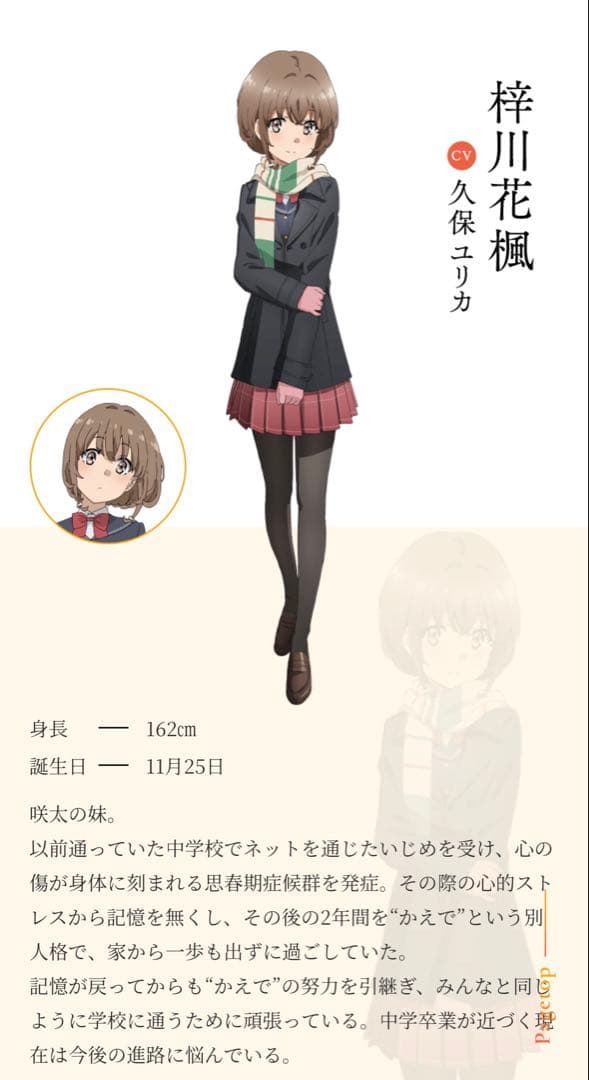 青春ブタ野郎はおでかけシスターの夢を見ない 咲太 花楓 麻衣 直筆 サイン 色紙