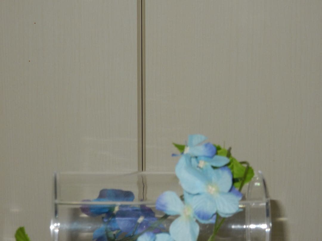 Nikon COOLPIX S9700 ブラック　コンデジ　動作品