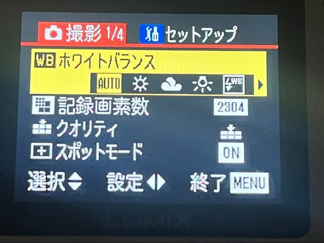 Panasonic LUMIX デジタル一眼レフ 本体と付属品DMC-FZ10