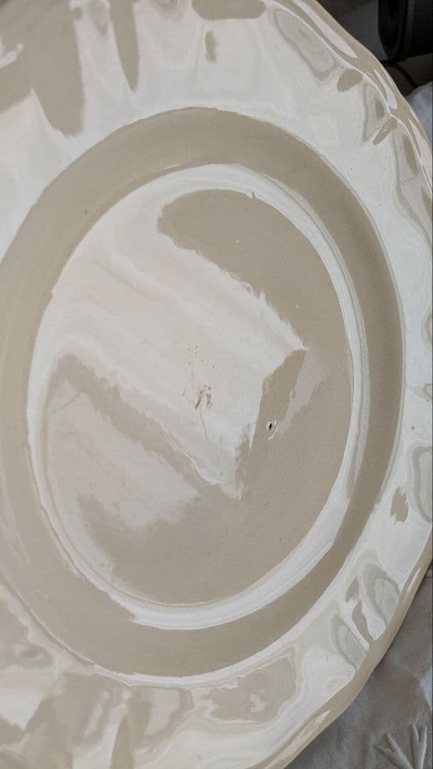 サルグミンヌ 花リム プレート 24.5cm 2枚セット フランス