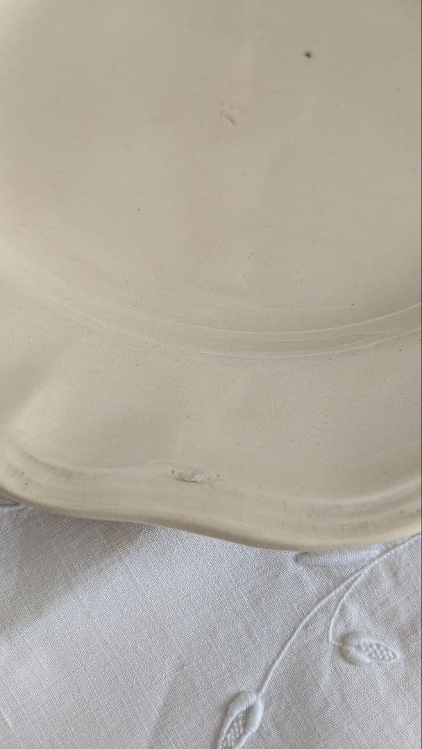 サルグミンヌ 花リム プレート 24.5cm 2枚セット フランス