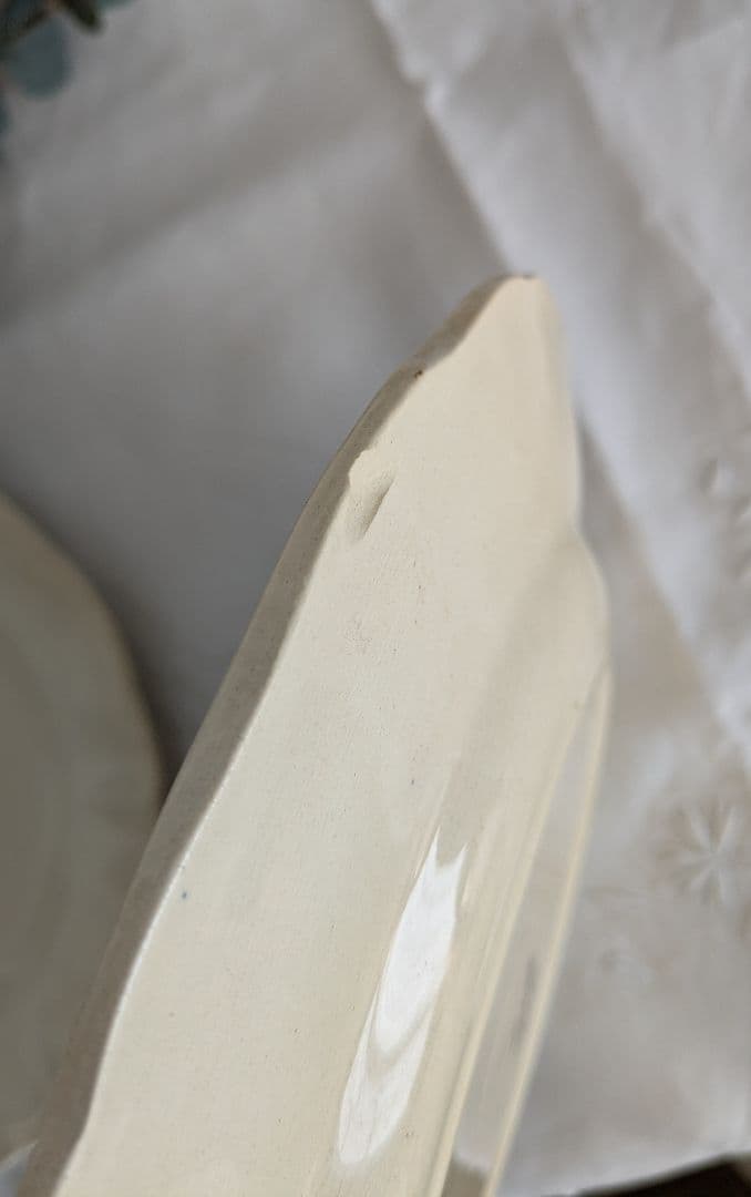 サルグミンヌ 花リム プレート 24.5cm 2枚セット フランス