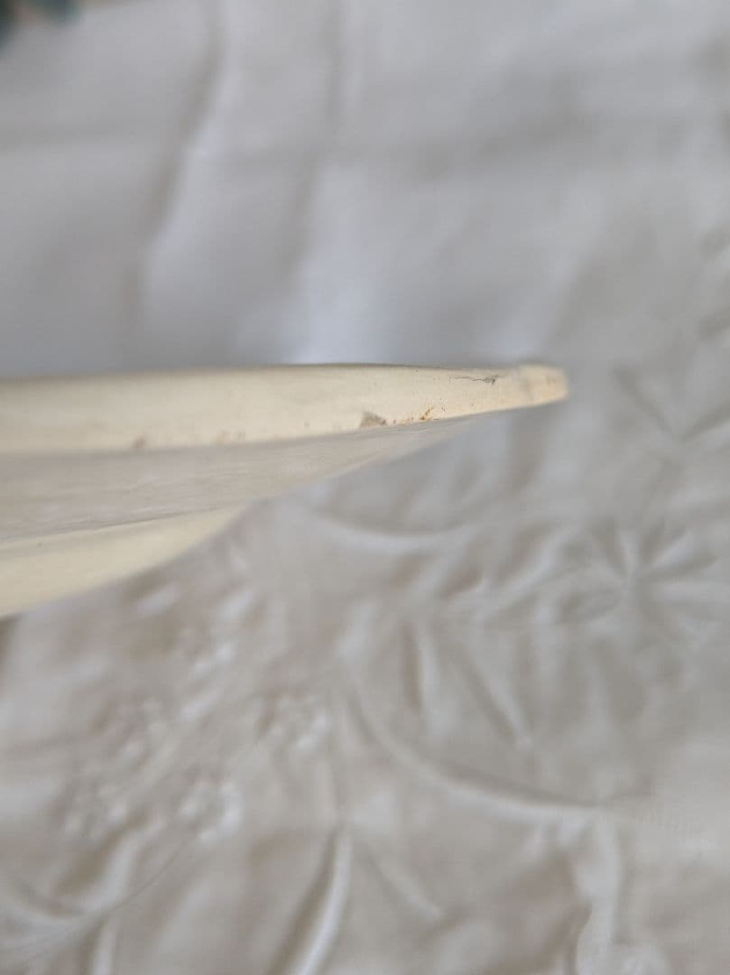 サルグミンヌ 花リム プレート 24.5cm 2枚セット フランス