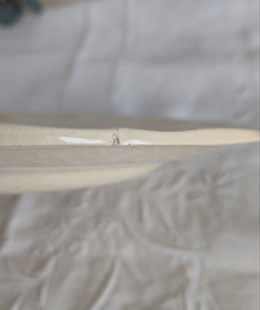 サルグミンヌ 花リム プレート 24.5cm 2枚セット フランス