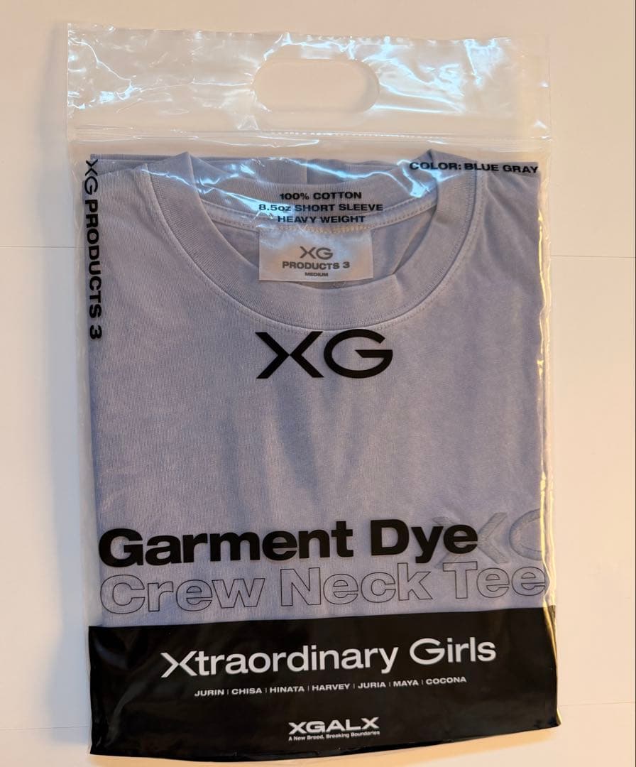 XG Garment Dye Crew Neck Tee「 M 」ブルーグレー