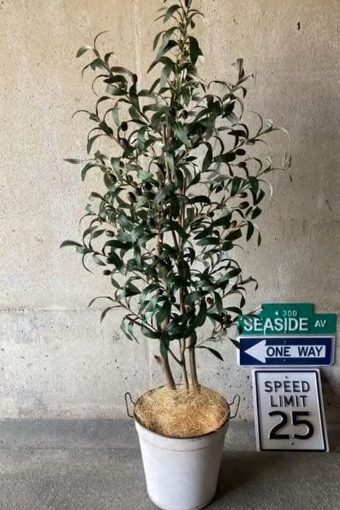 光触媒　人工観葉植物　ウォールグリーン　フェイク　フラワー　オリーブ　優世様