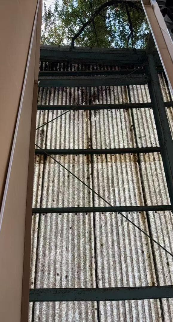 【美品】ダンスミラー 割れない鏡 幅60x160cm 姿見 白色 14番