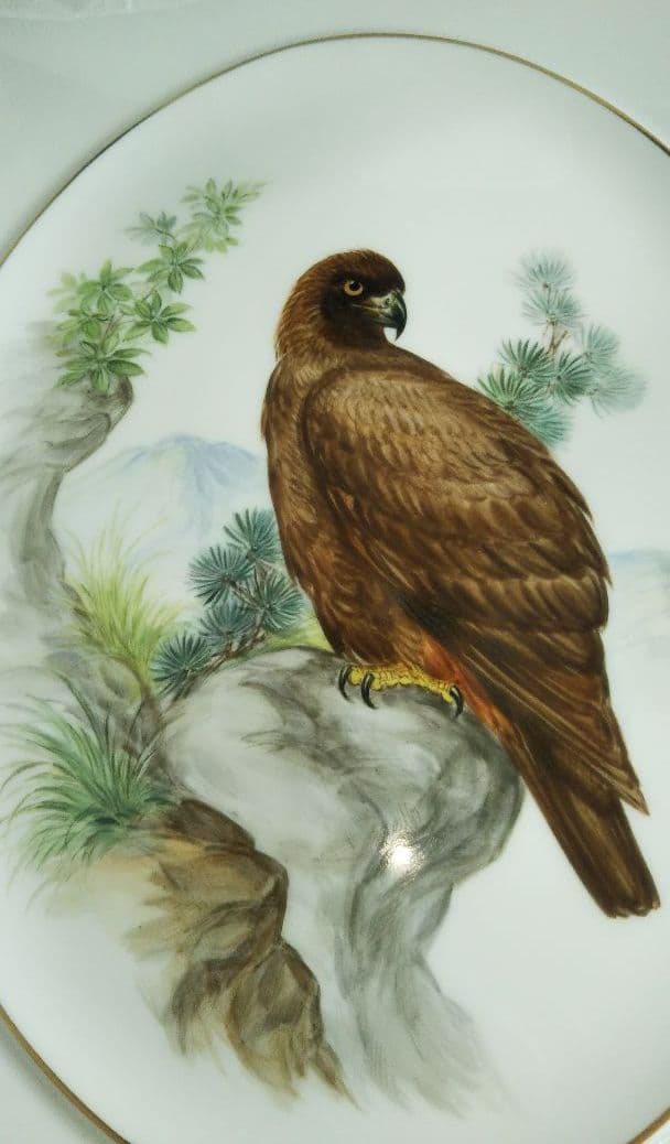 ☆お値下げ☆【稀少】マイセン  プラーク  イヌワシ