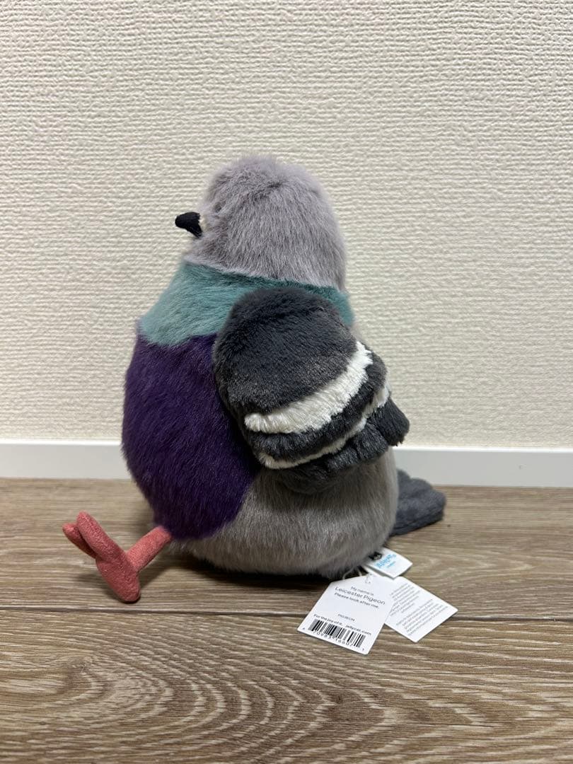  leicester pigeon 鳩