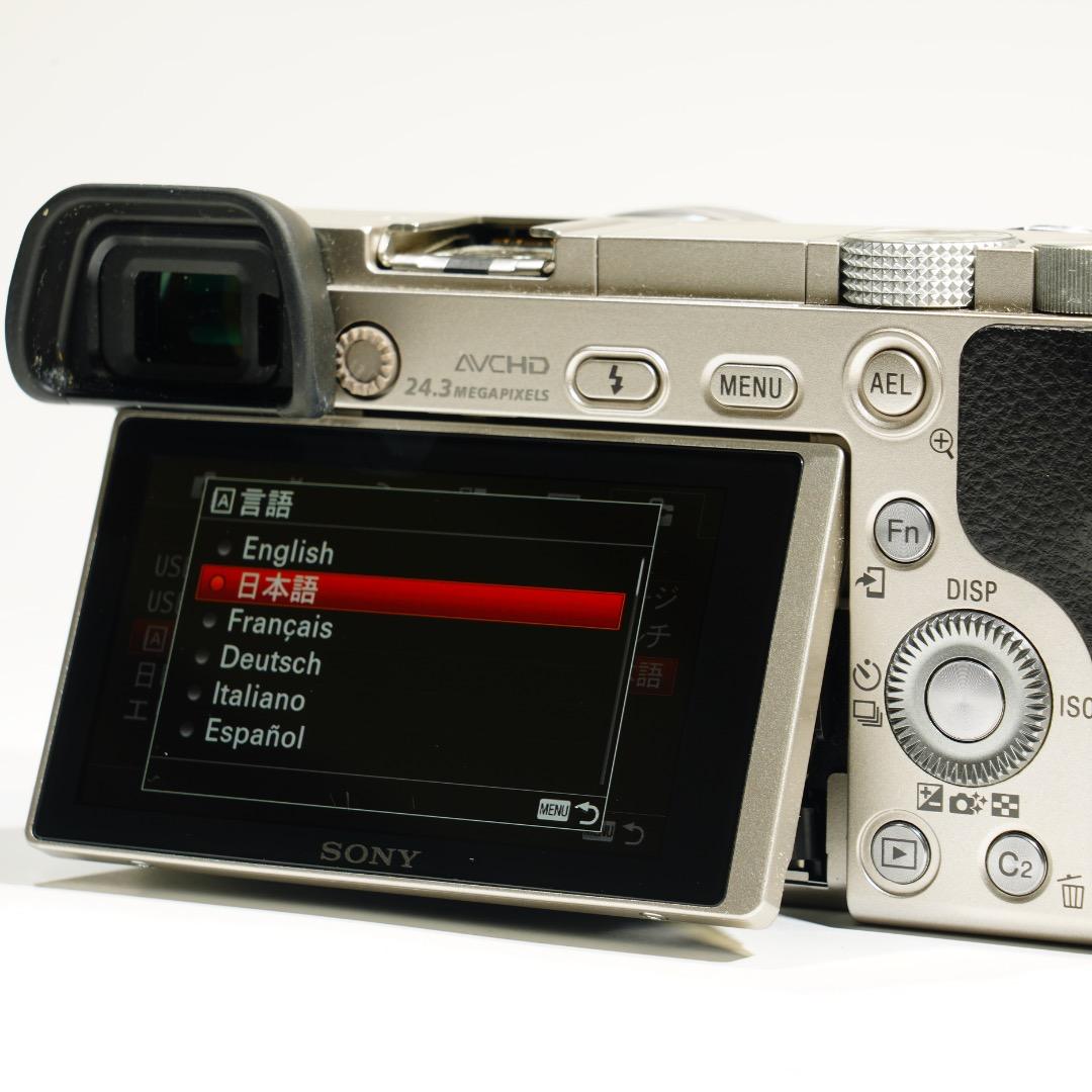 極美品 真・α6000 SONY ミラーレス ILCE-6000Y ダブルズーム