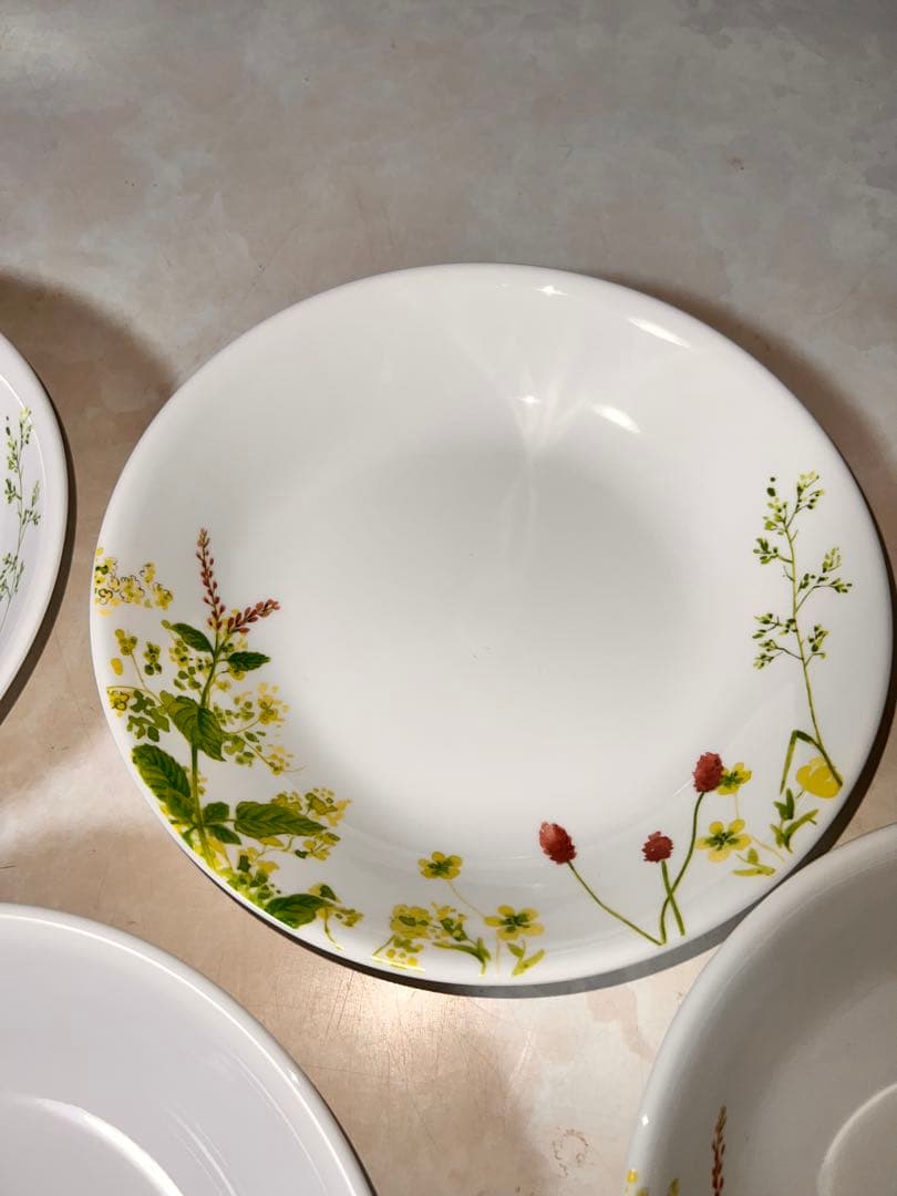 172 USA CORELLE コレール プロバンスガーデン 21.5cm 5客