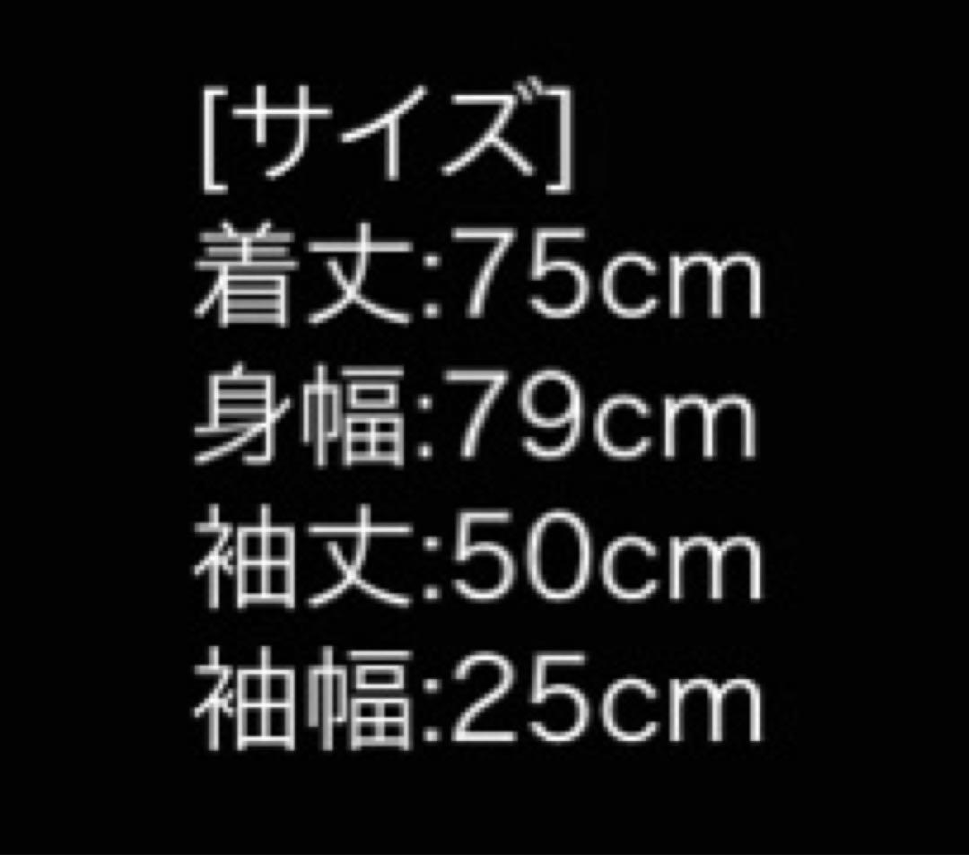 真天地開闢集団ジグザグ　ジップアップパーカー　参拝装束