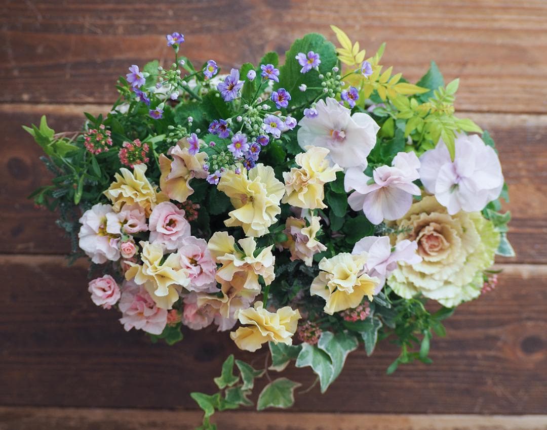 アチュードのキュートで可憐な寄せ植え