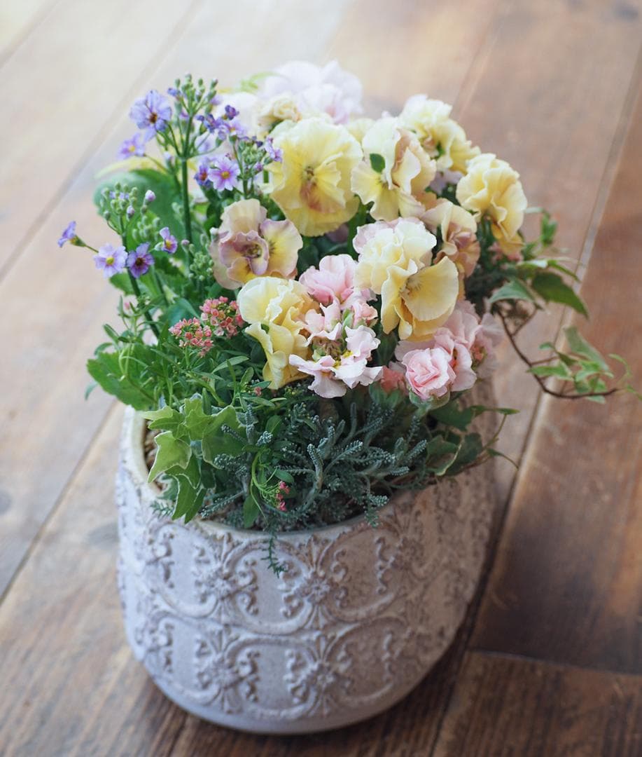 アチュードのキュートで可憐な寄せ植え