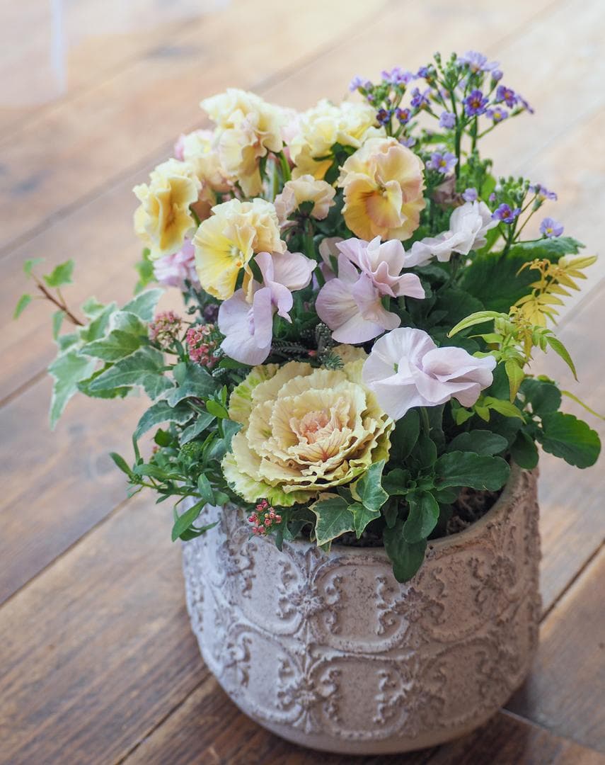 アチュードのキュートで可憐な寄せ植え