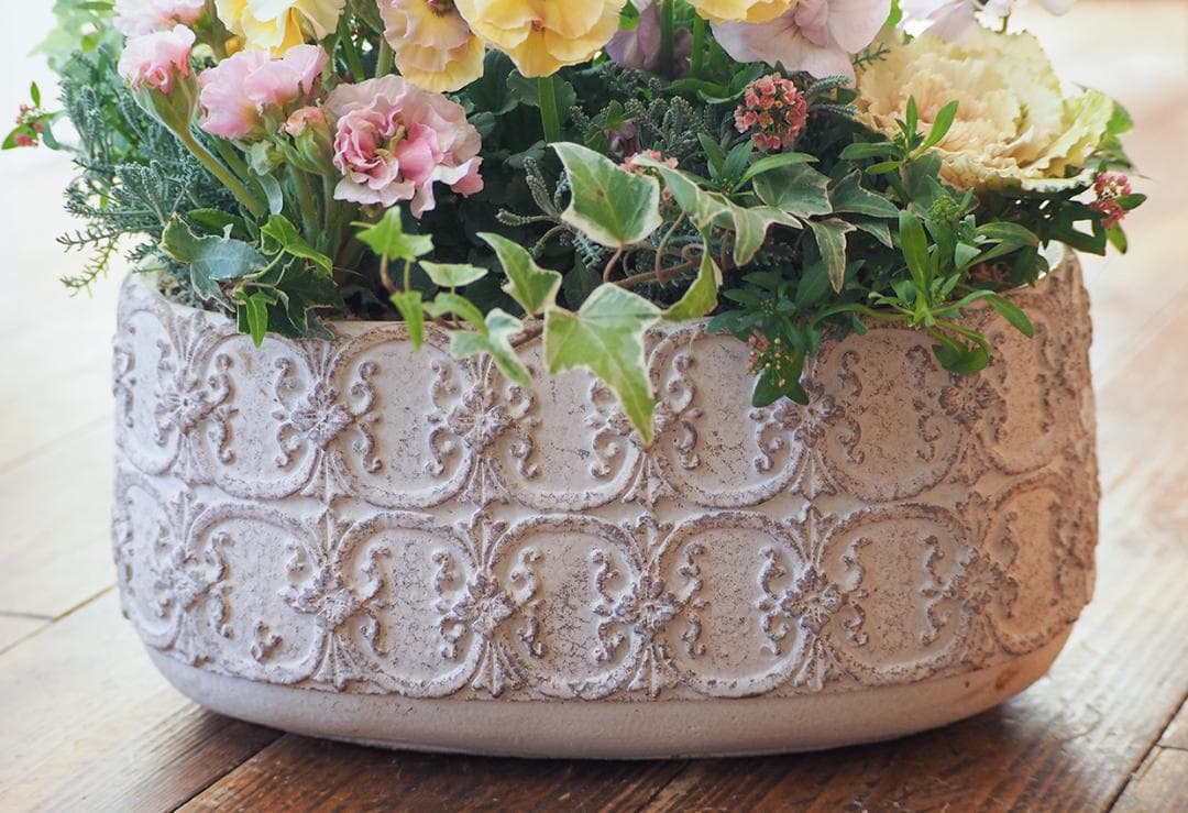 アチュードのキュートで可憐な寄せ植え