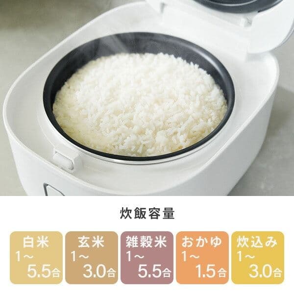 ヤマゼン 炊飯器 5.5合炊き YJP-102W