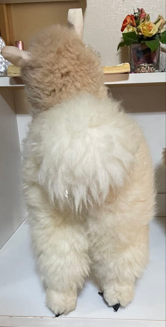 クリームアルパカ ぬいぐるみ アルパカ原毛 ペルー製 60cm ふわふわの毛並