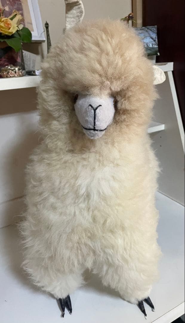 クリームアルパカ ぬいぐるみ アルパカ原毛 ペルー製 60cm ふわふわの毛並