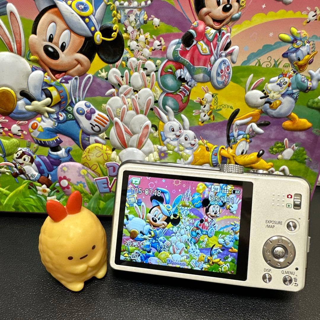 パナソニックPanasonicLUMIX DMC-TZ30 動作確認済　中古品