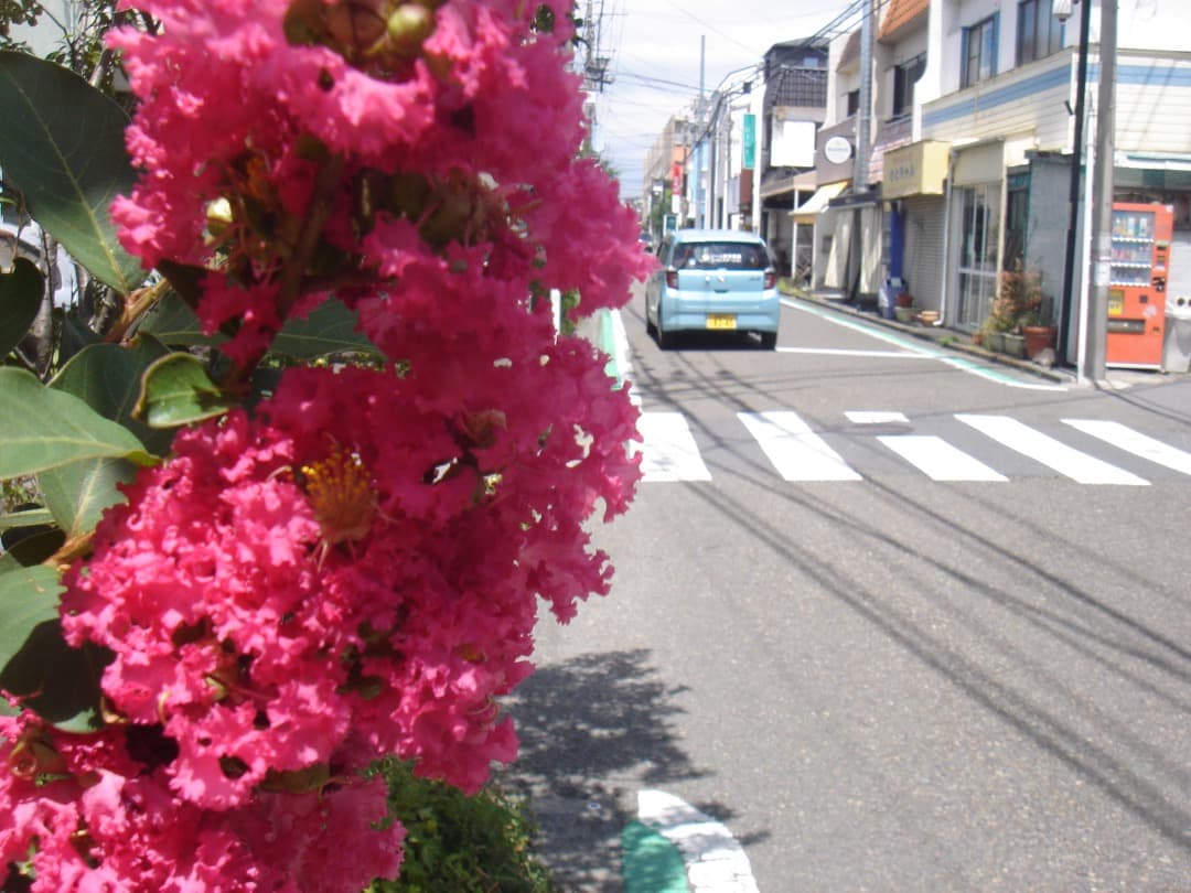 実写美⭕️【動作確認済】SONY Cyber-shot DSC-T7 シルバー