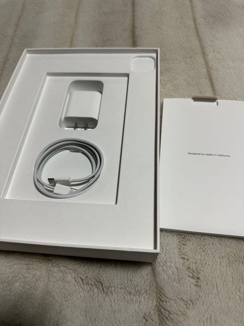Apple pencil2とiPad 11インチ第２世代Wi-Fi128GB
