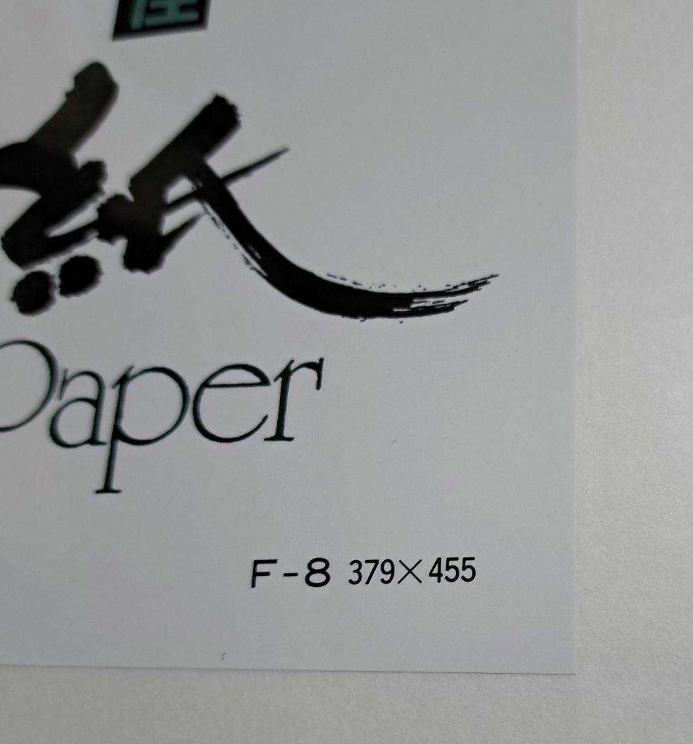 水墨画用紙F8サイズ【墨付絶佳】40枚×22セット