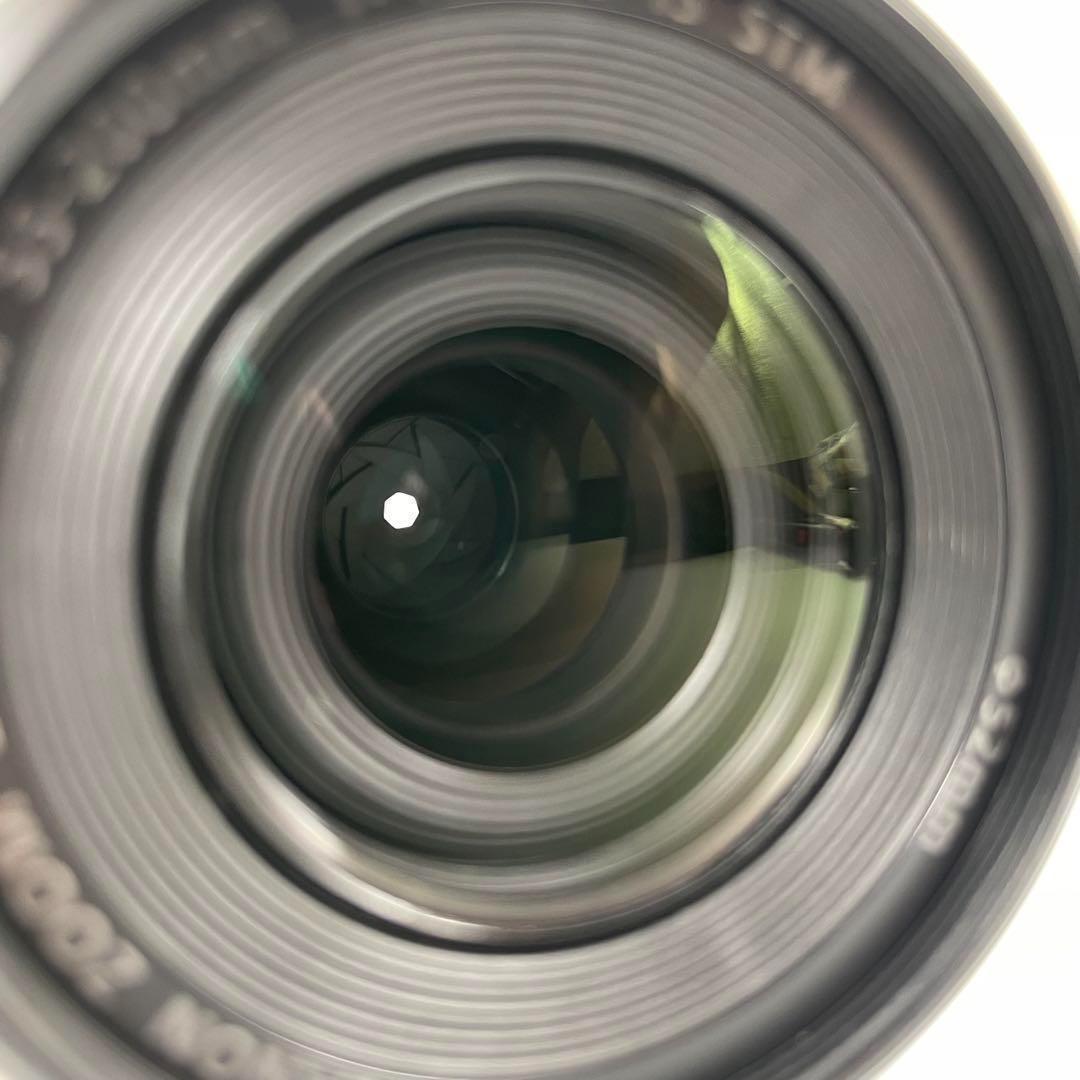 ■極上品■ CANON EF-M55-200mm F4.5-6.3 IS STM