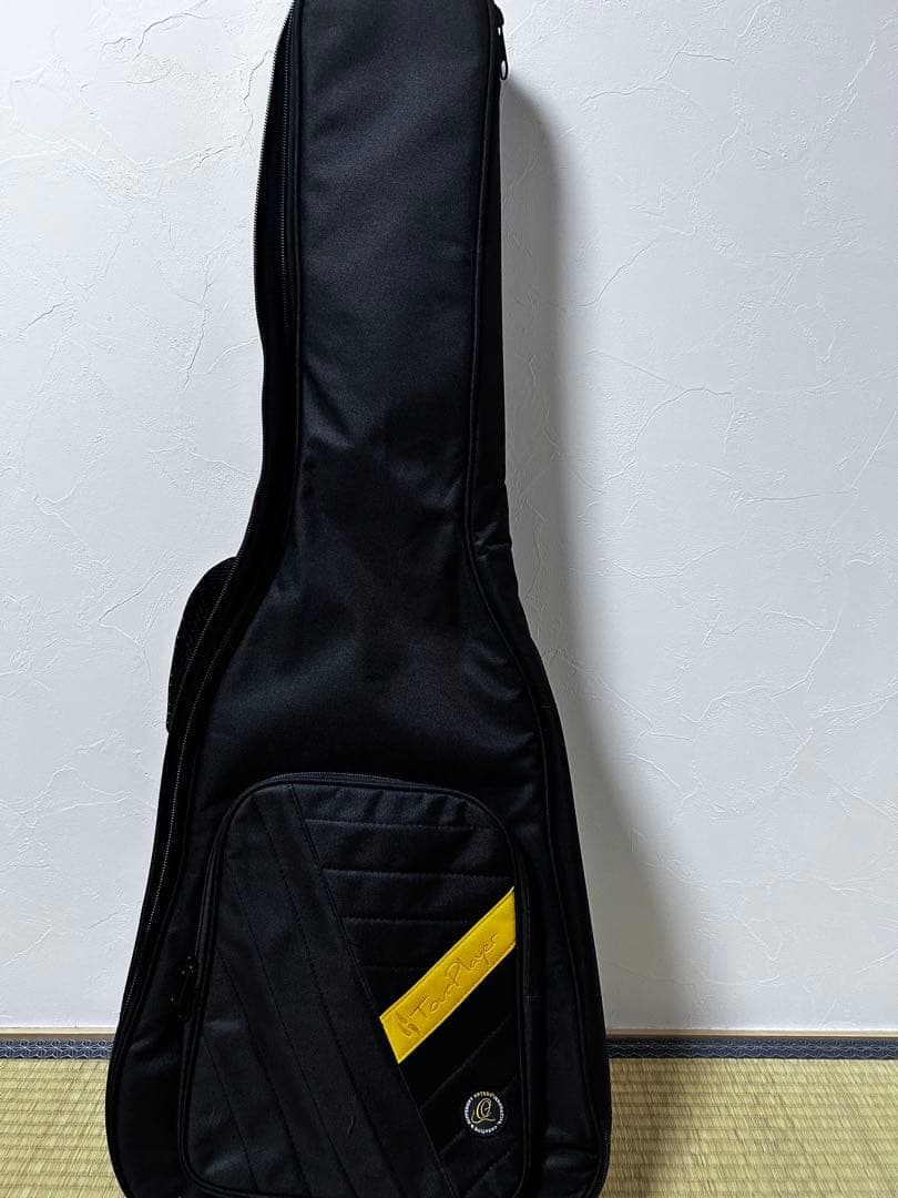 ORTEGA GUITAR クラシックギター