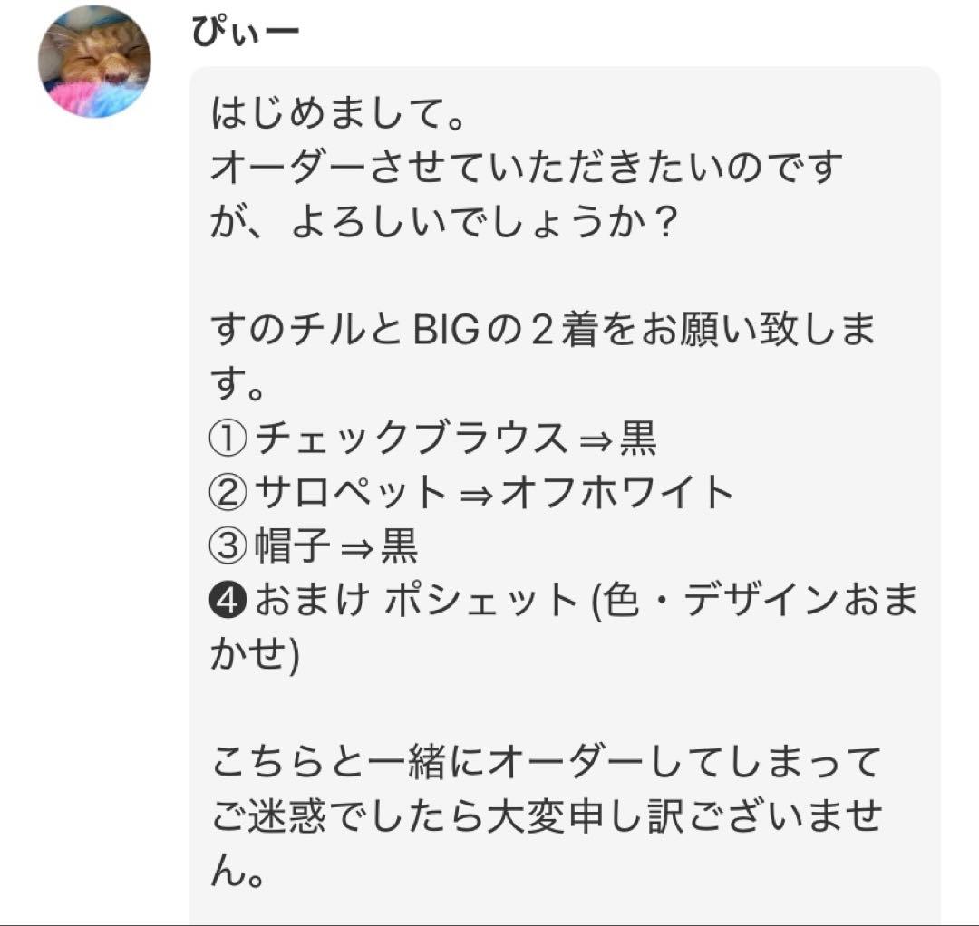 ぴぃー/チルぬい・すのチルBIG ぬい服×3