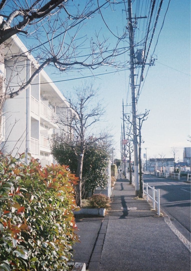 【動作確認・清掃済み＊試写あり】OLYMPUS PEN-EE