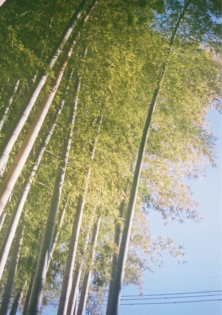 【動作確認・清掃済み＊試写あり】OLYMPUS PEN-EE