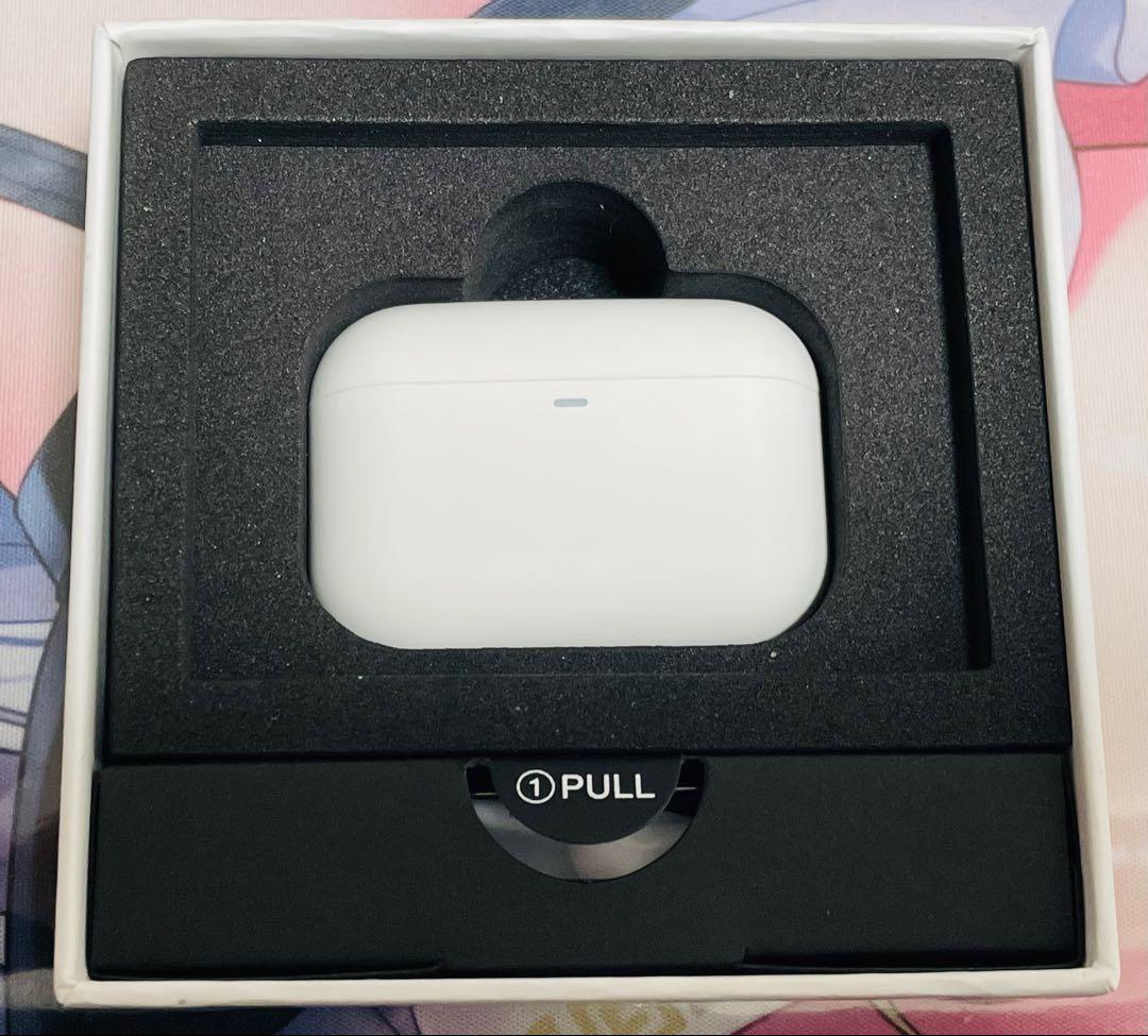 イヤホン final ZE500 for ASMR -Patra White-
