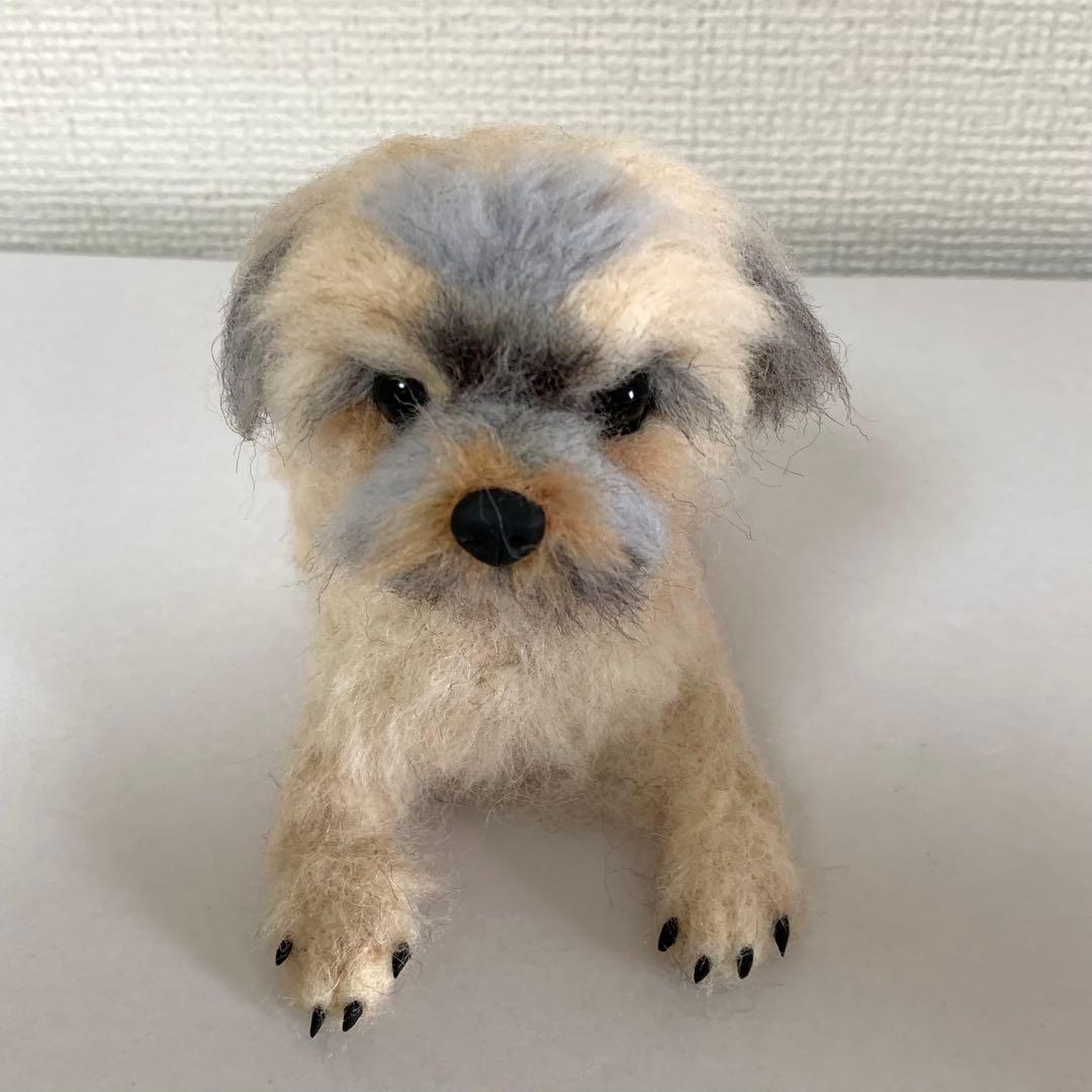 マロンだ　ヨークシャーテリア