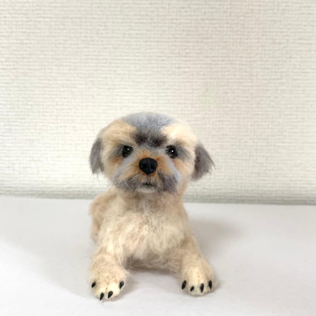 マロンだ　ヨークシャーテリア