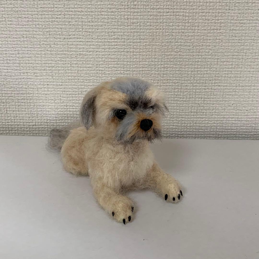 マロンだ　ヨークシャーテリア