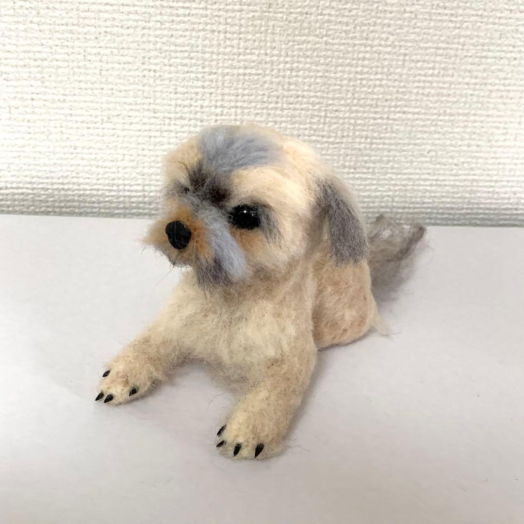 マロンだ　ヨークシャーテリア