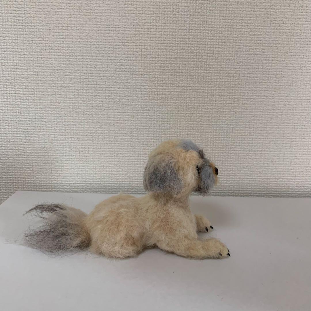 マロンだ　ヨークシャーテリア