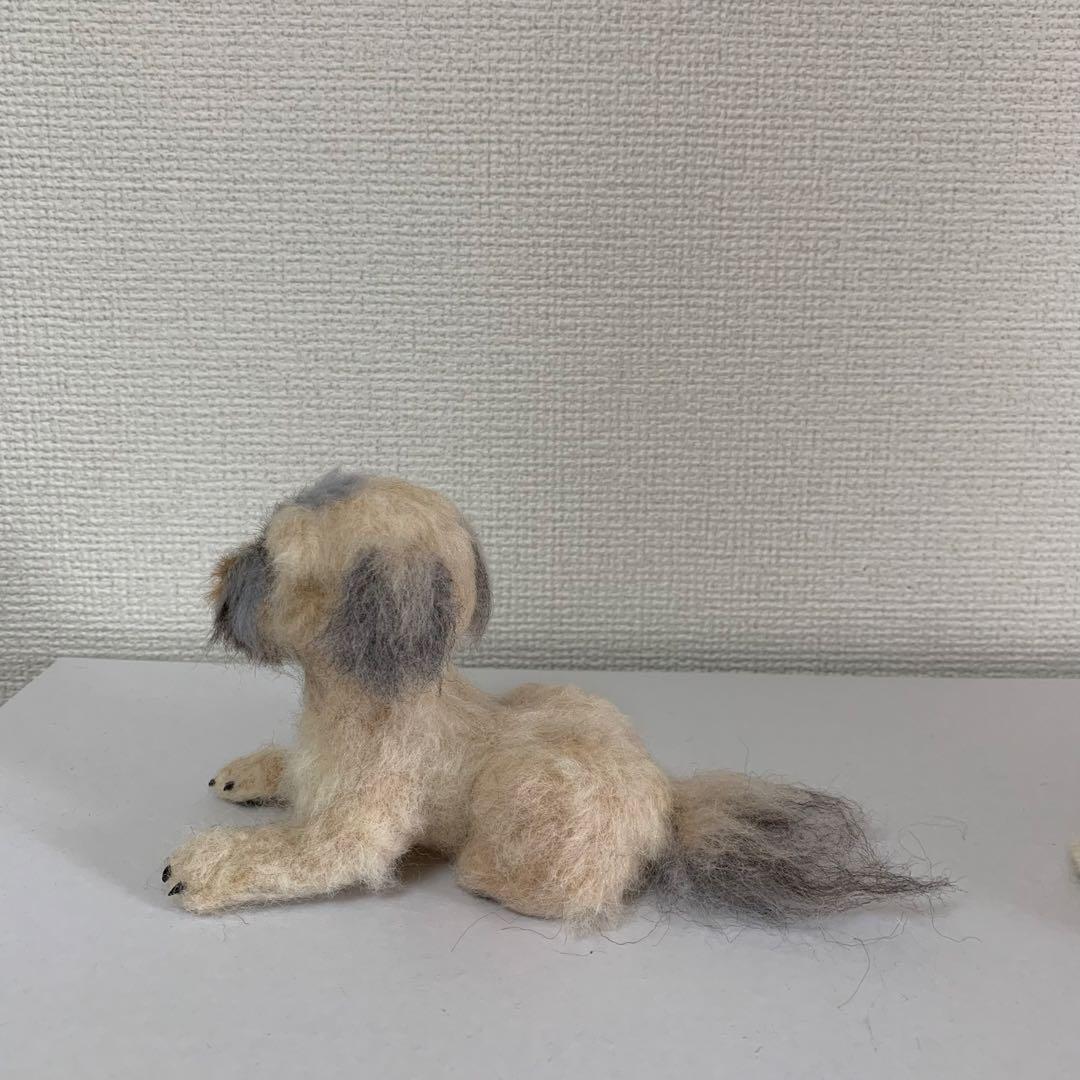 マロンだ　ヨークシャーテリア