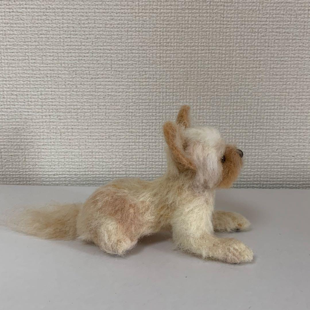 マロンだ　ヨークシャーテリア