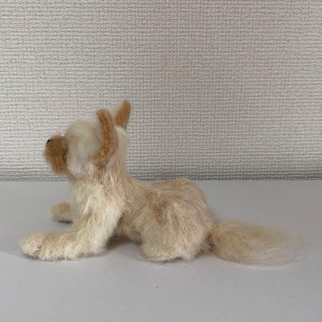 マロンだ　ヨークシャーテリア