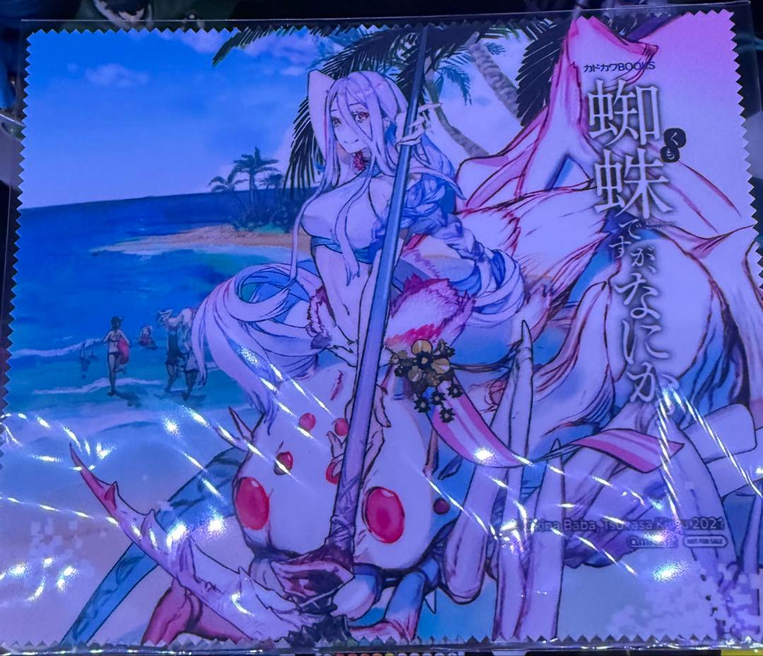 蜘蛛ですが、なにか？　［私］アラクネ/白織フィギュア