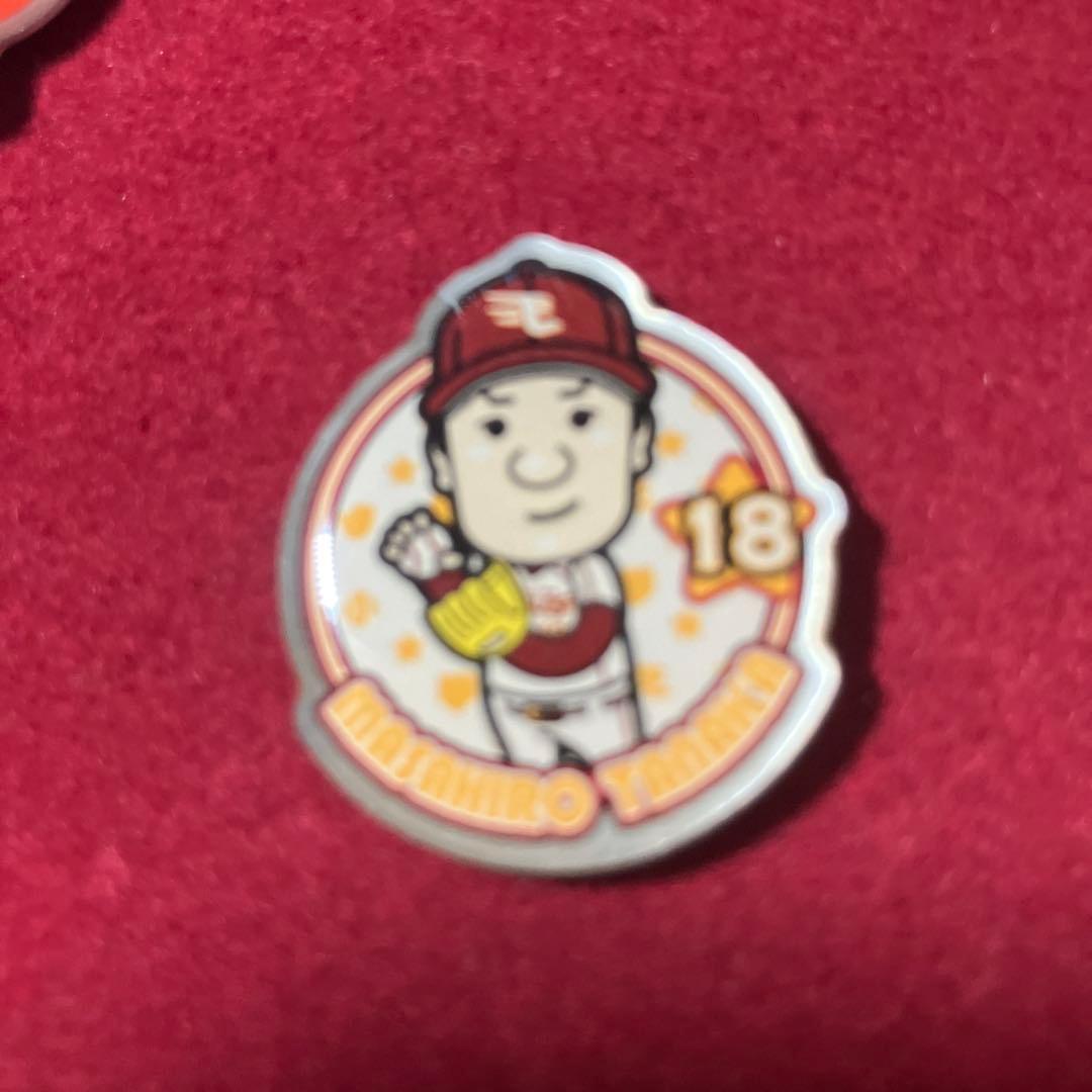 野球 ピンバッジ セット サイン入り